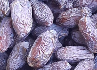 تصویر 1 از قیمت خرمای مجول + خرید باور نکردنی